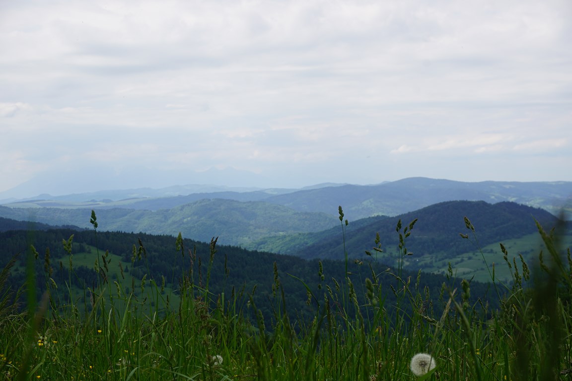 WIOSENNY PARAFIALNY WYJAZD INTEGRACYJNY W BESKID SĄDECKI - 10 czerwca 2017